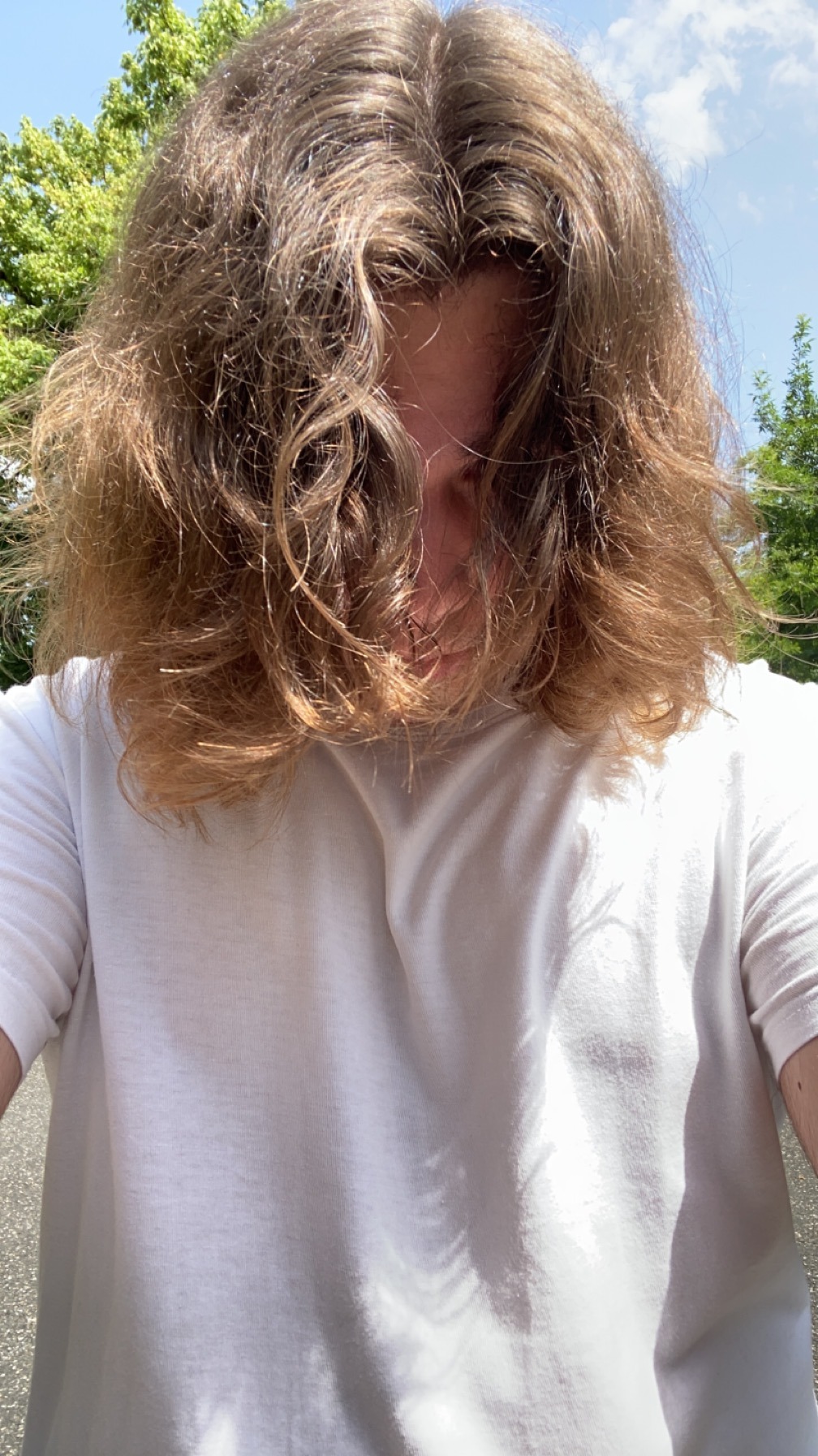 Profilo di Pierre-hubert