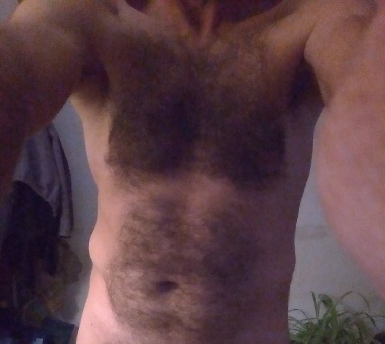 Profilo di Michelangelo