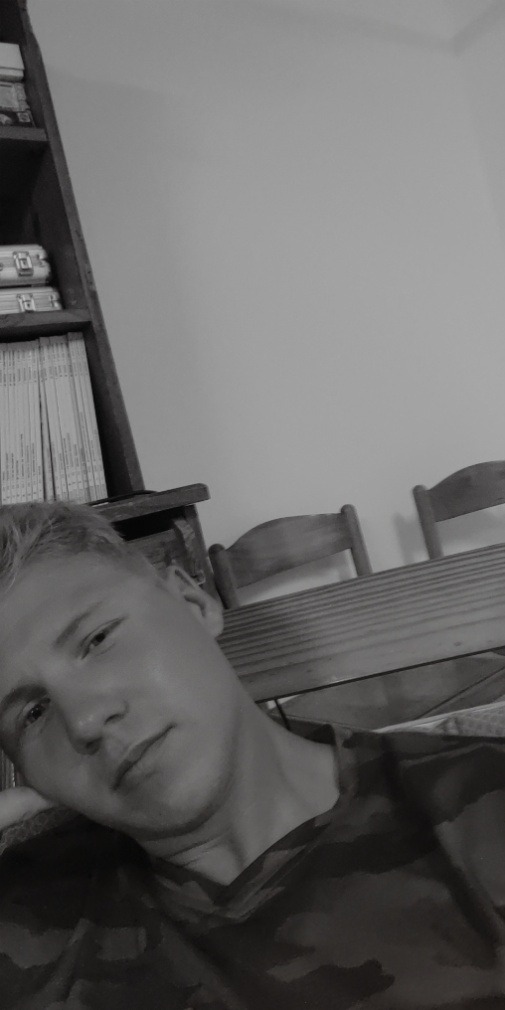 Profilo di Louis-joseph