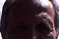 Profilo di Stephanne