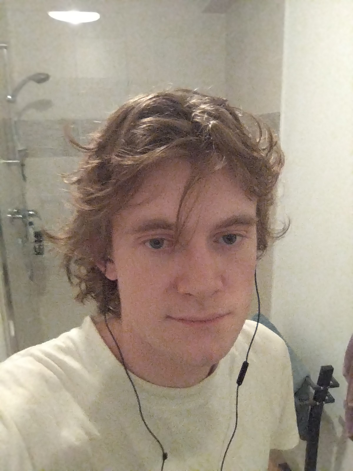 Profilo di Louis-joseph