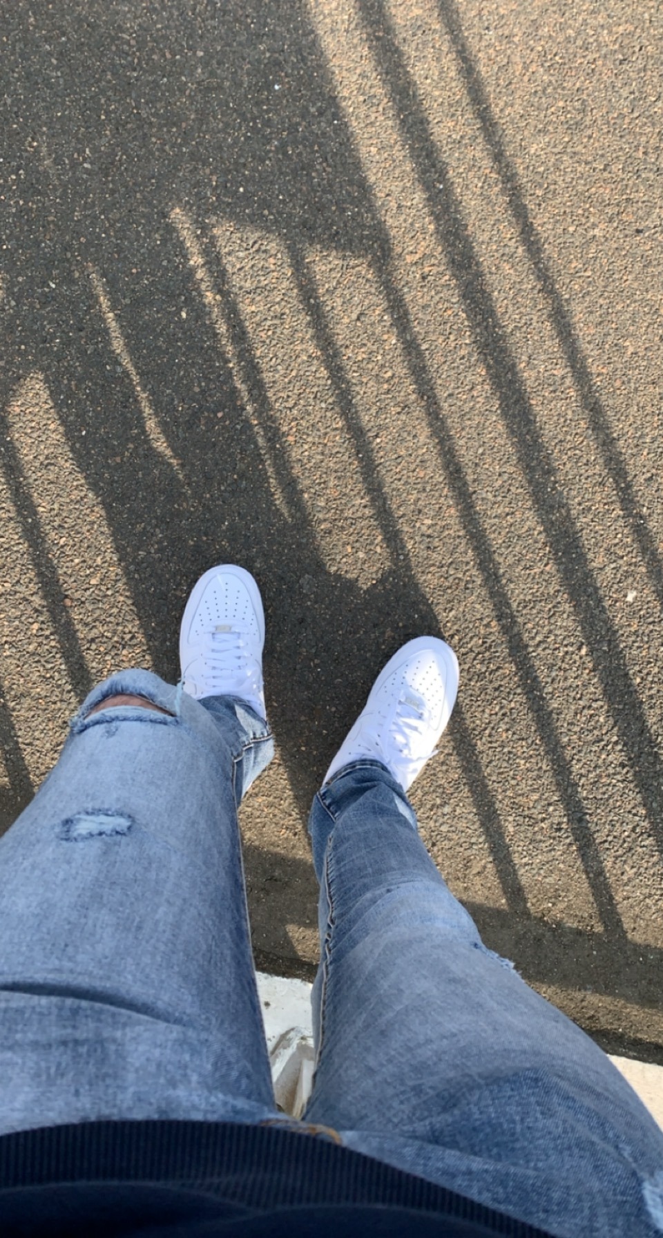 Profilo di Polycarpe